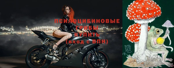 дмт Алексин