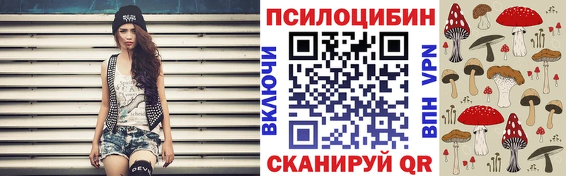 купить закладку  Болгар  Псилоцибиновые грибы ЛСД 